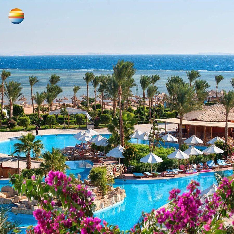 Follow Your Vibes In Sharm Sheikh